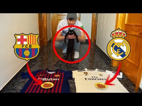 MI GATA ADIVINA EL GANADOR DEL REAL MADRID VS FC BARCELONA 2019